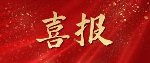 喜報！麥斯克電子再獲多項市級表彰